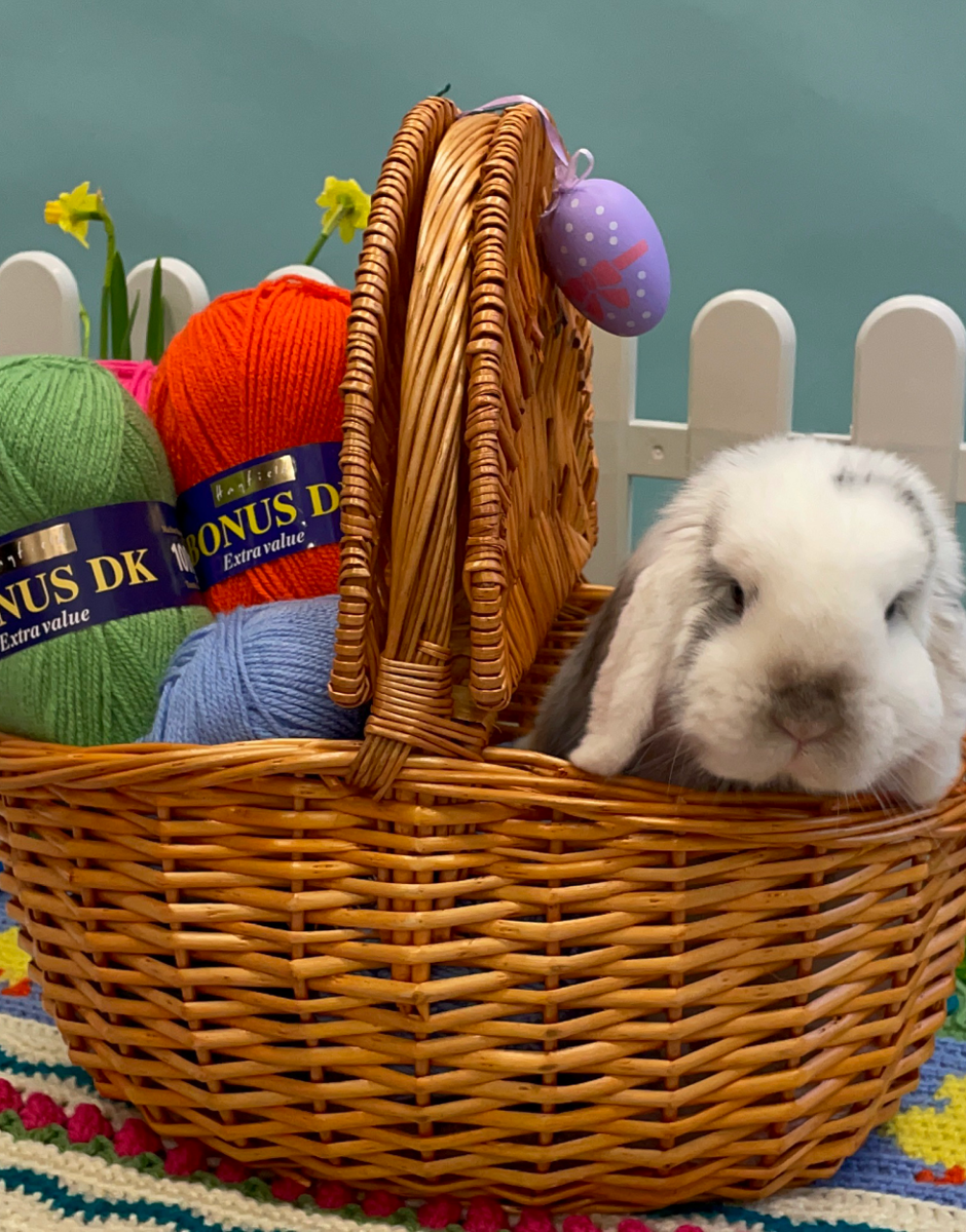 Sirdar spring crochet along 2026