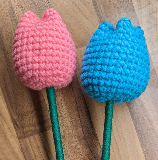 Kids Beginners crochet workshop - Tulips