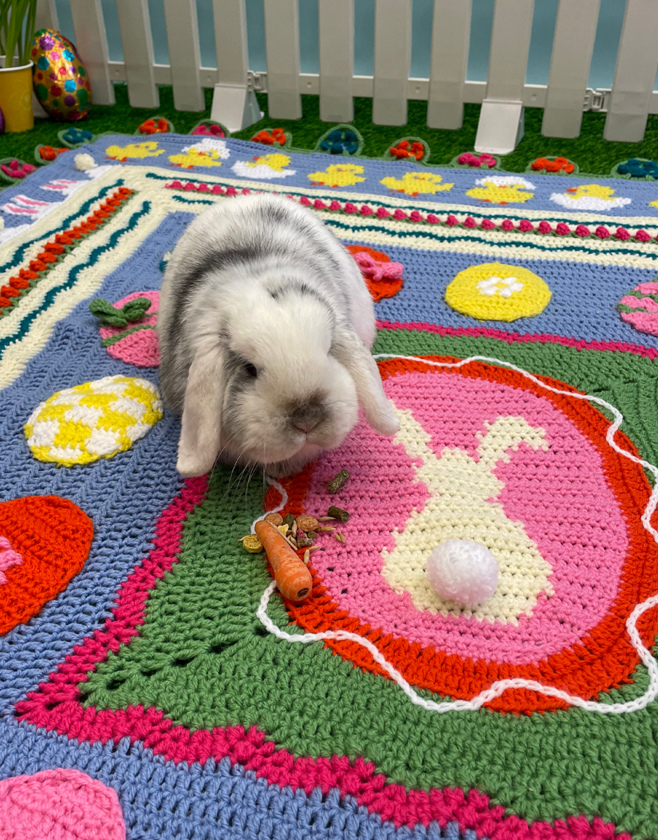 Sirdar spring crochet along 2026